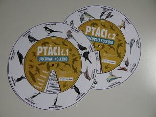 kolecka_ptaci