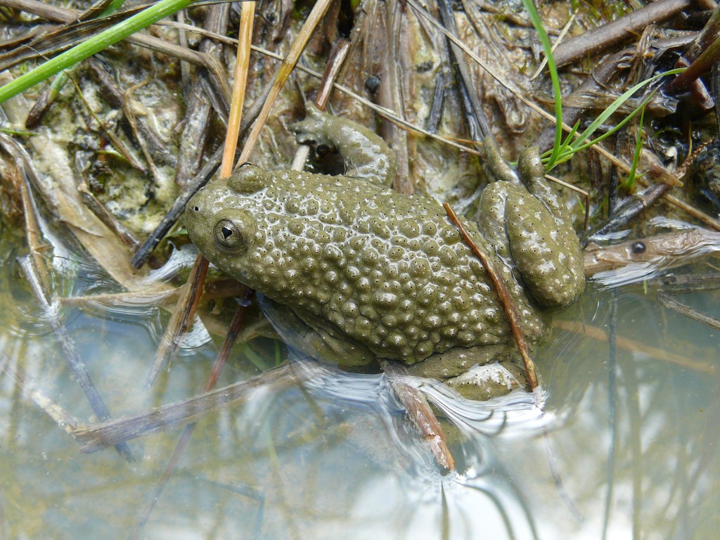 Natura pro všechny